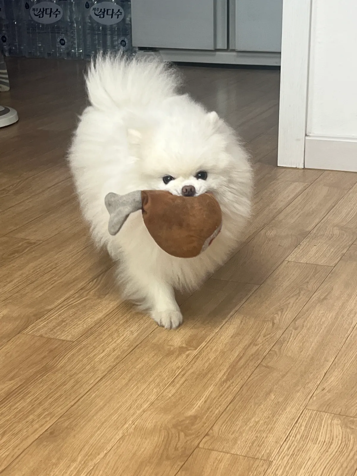 이미지 7
