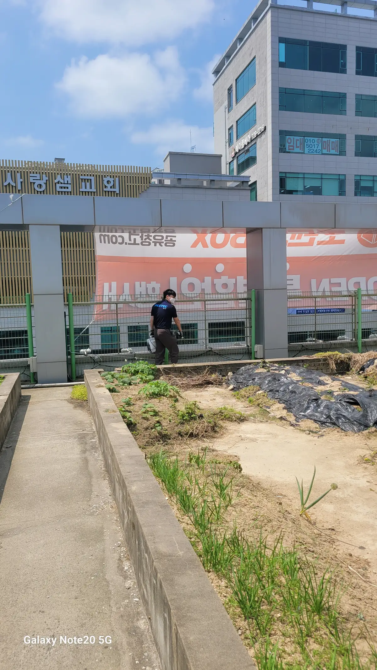 이미지 6