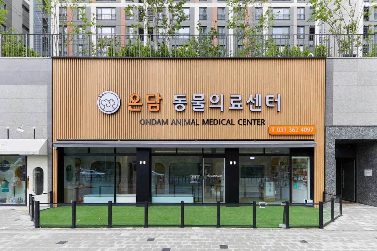 이미지 2