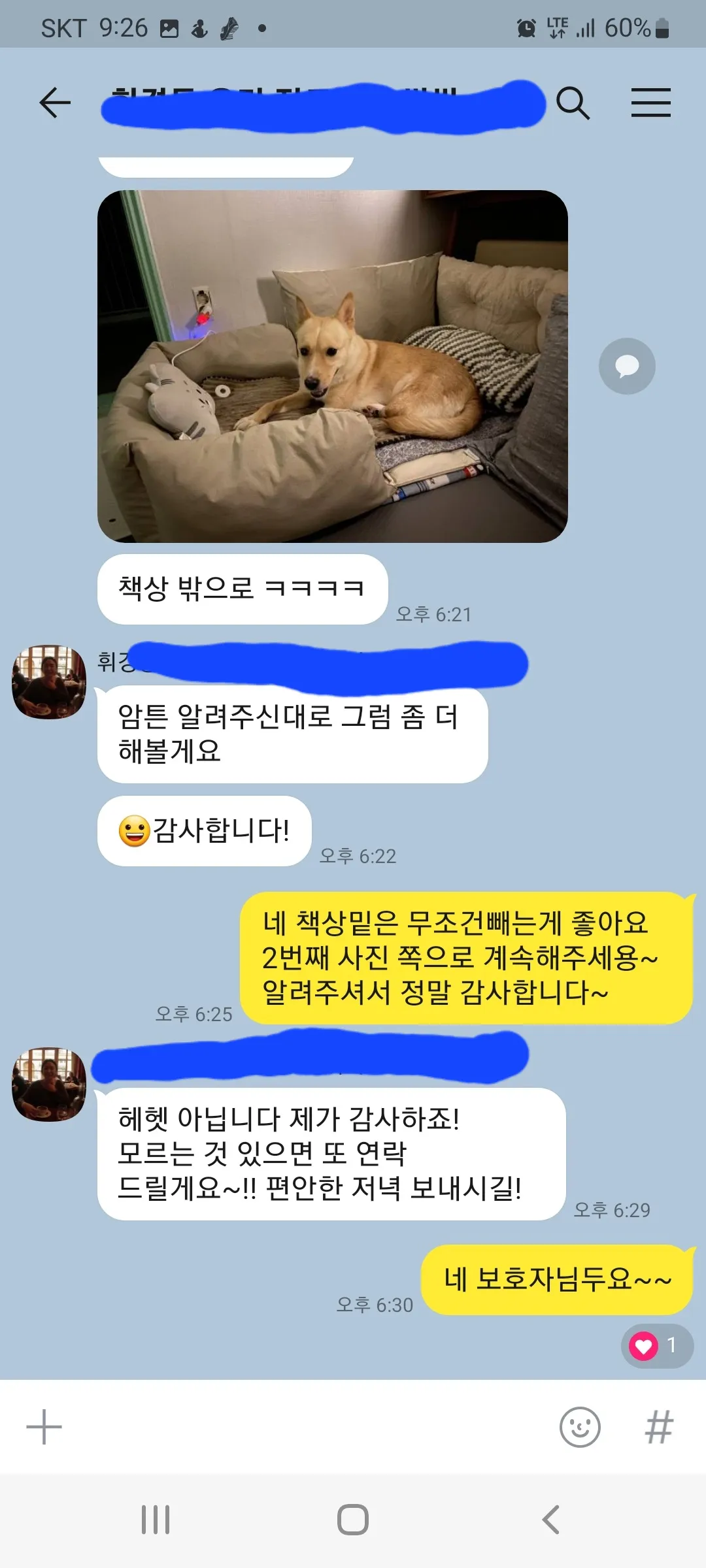 이미지 3