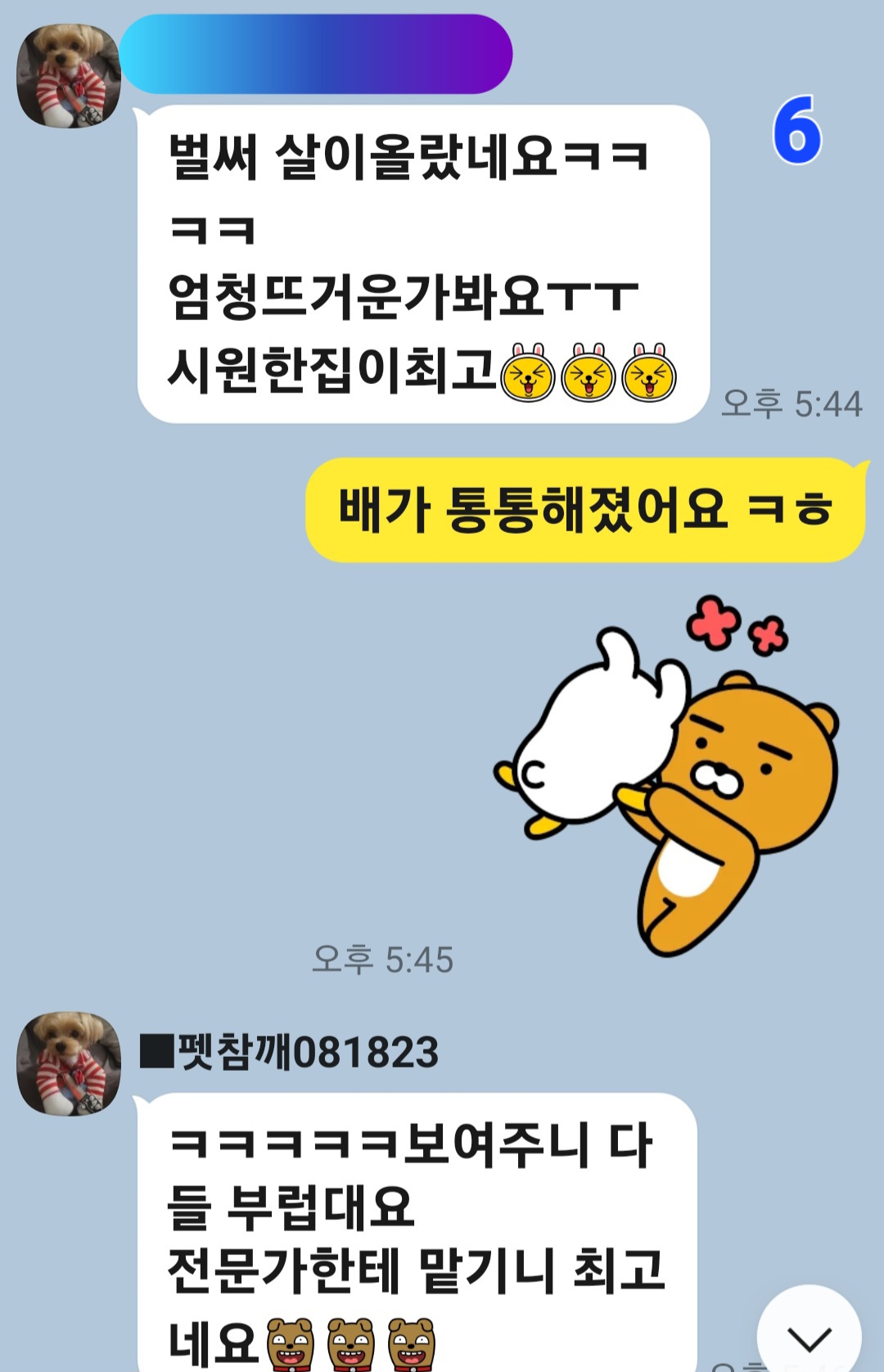 이미지 8