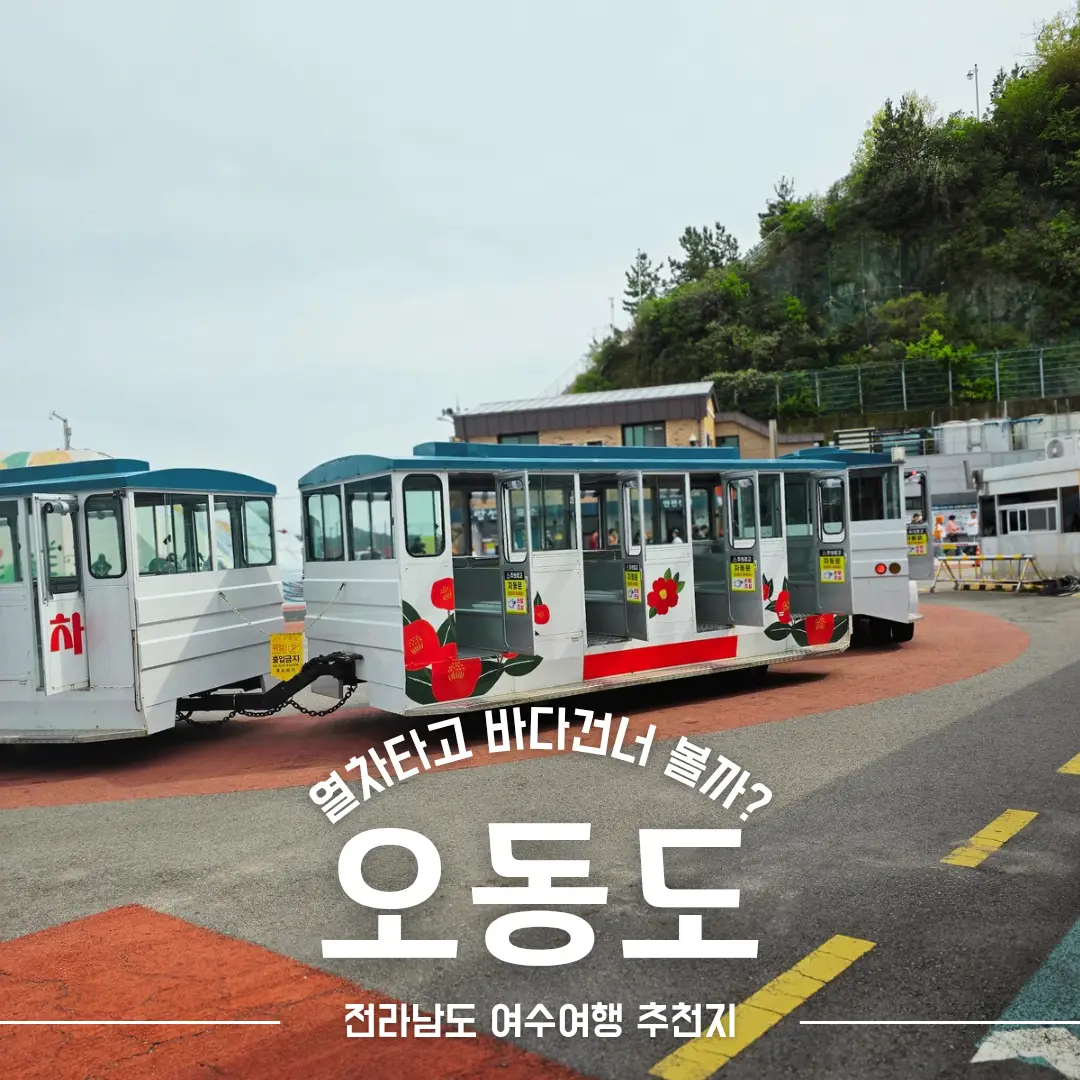 이미지 24