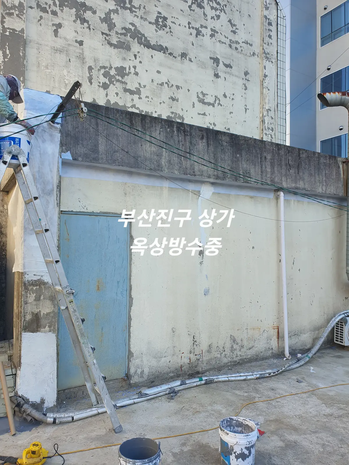 이미지 4