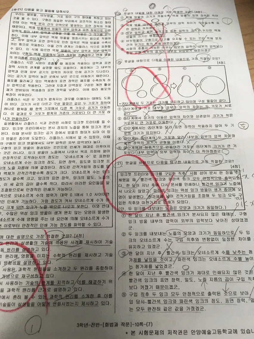 이미지 12