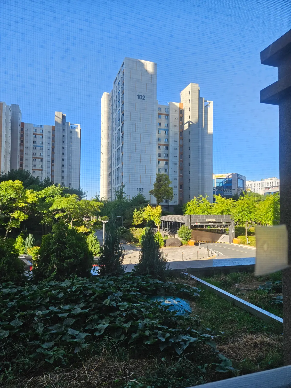 이미지 13