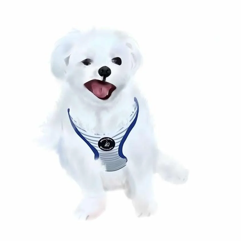 이미지 4