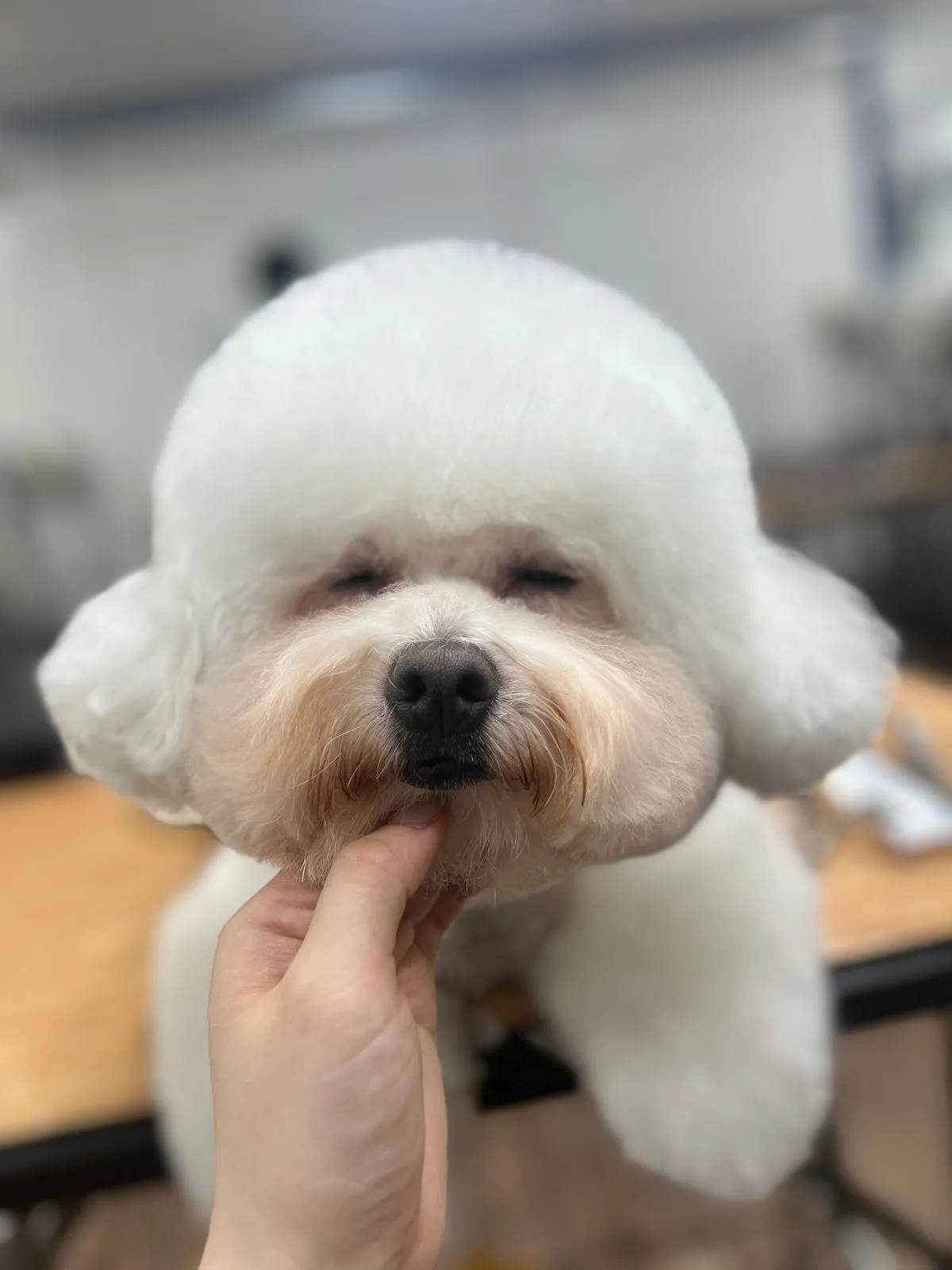 이미지 3