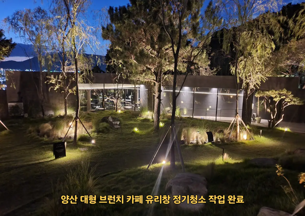 이미지 12