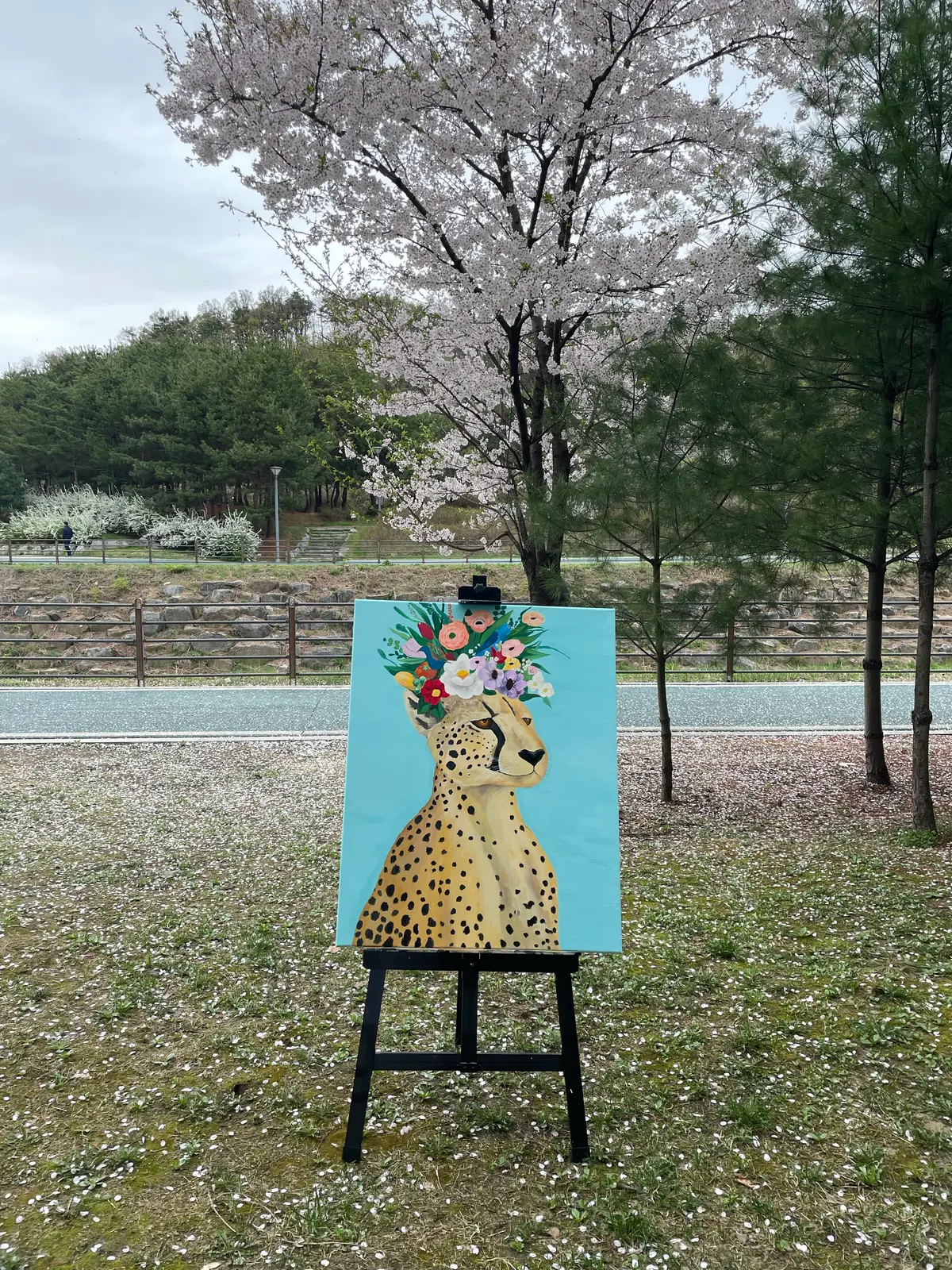 이미지 5
