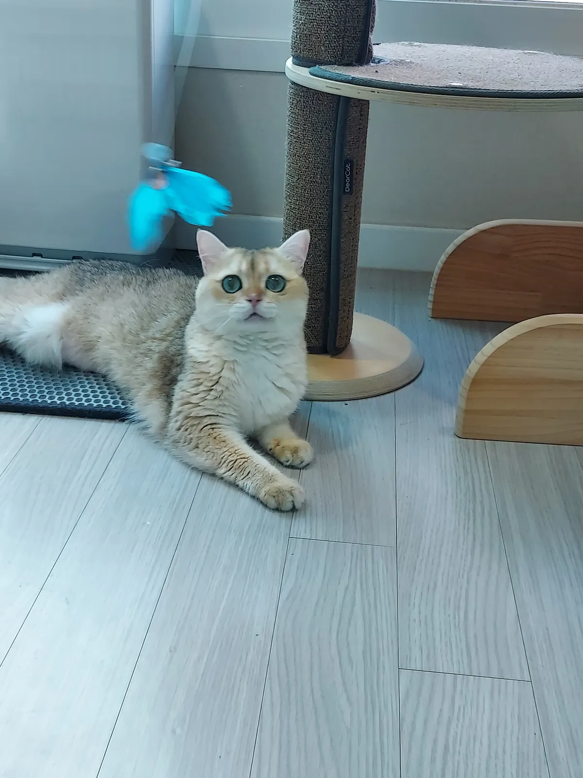 이미지 8