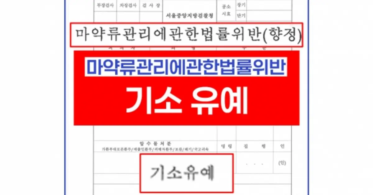 마약류관리에관한법률위반(향정) 기소유예 / 김도훈 - 숨고, 숨은고수  마약류관리에관한법률위반(향정) 기소유예
