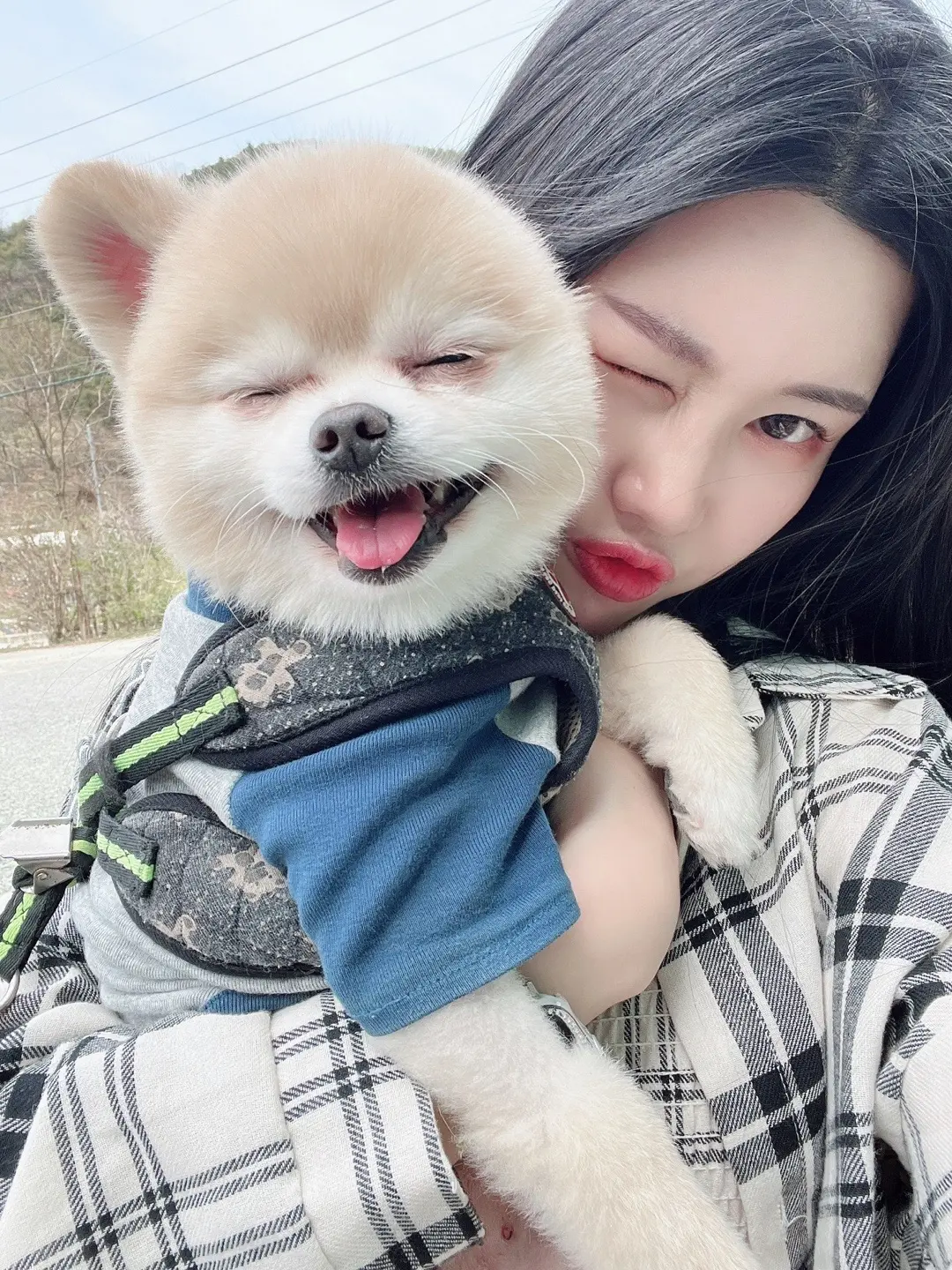 이미지 8