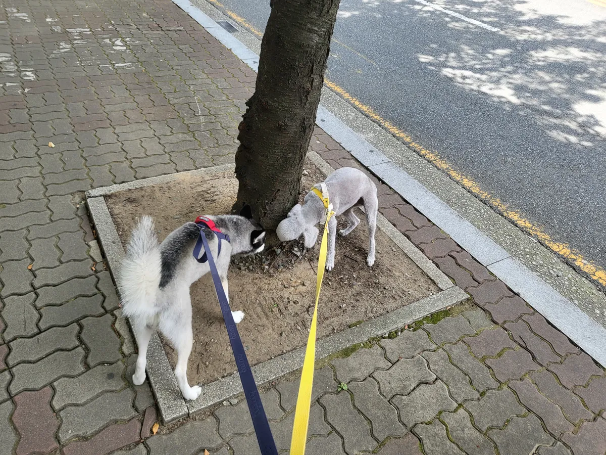 이미지 7