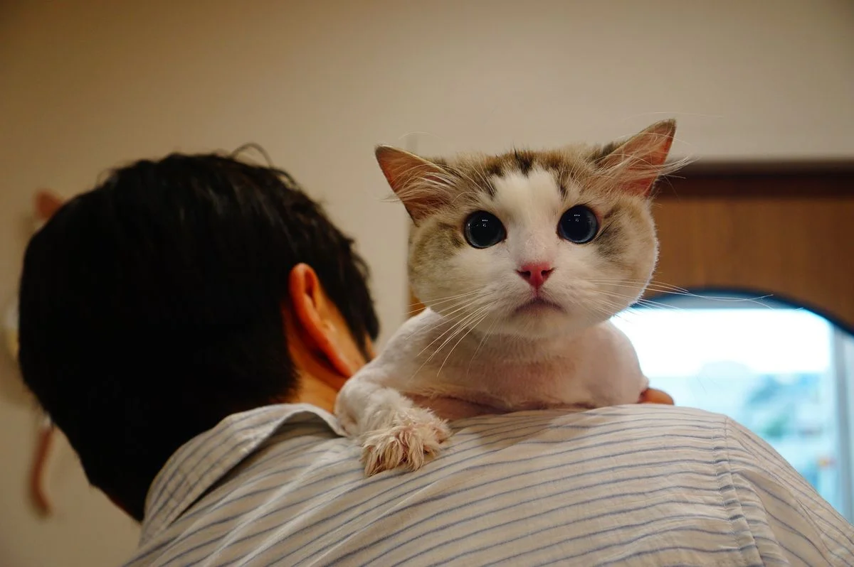 이미지 7
