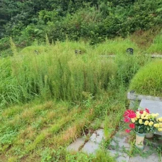 예초/벌초 전문입니다.