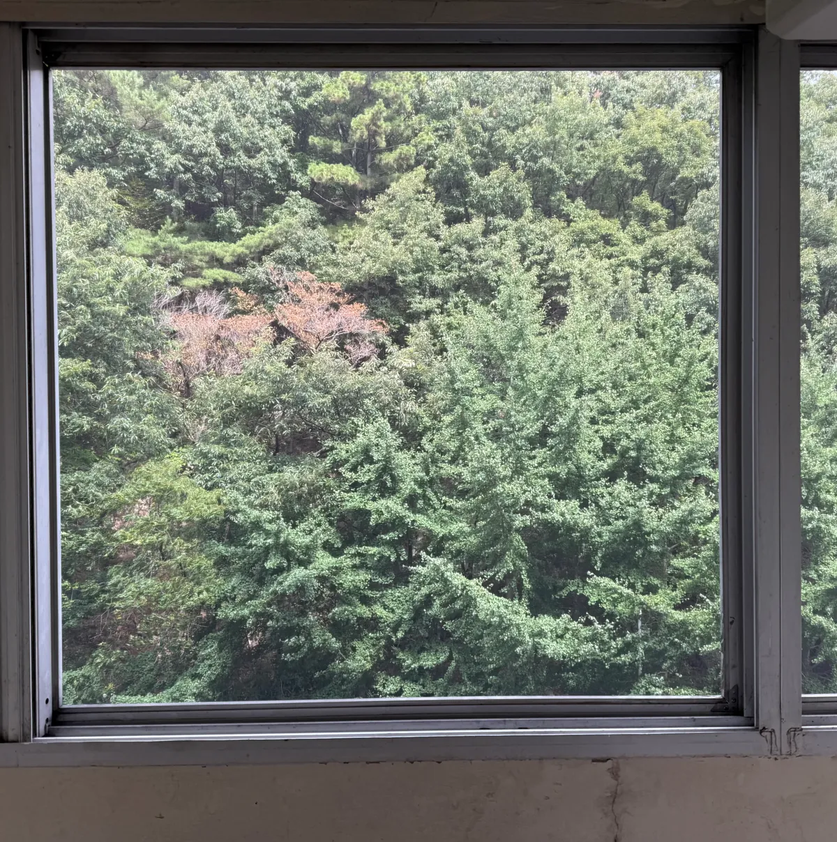 이미지 26