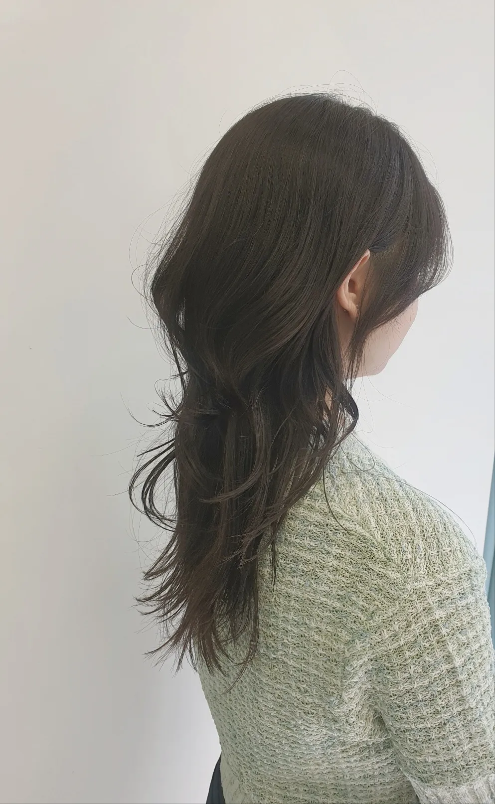 이미지 5