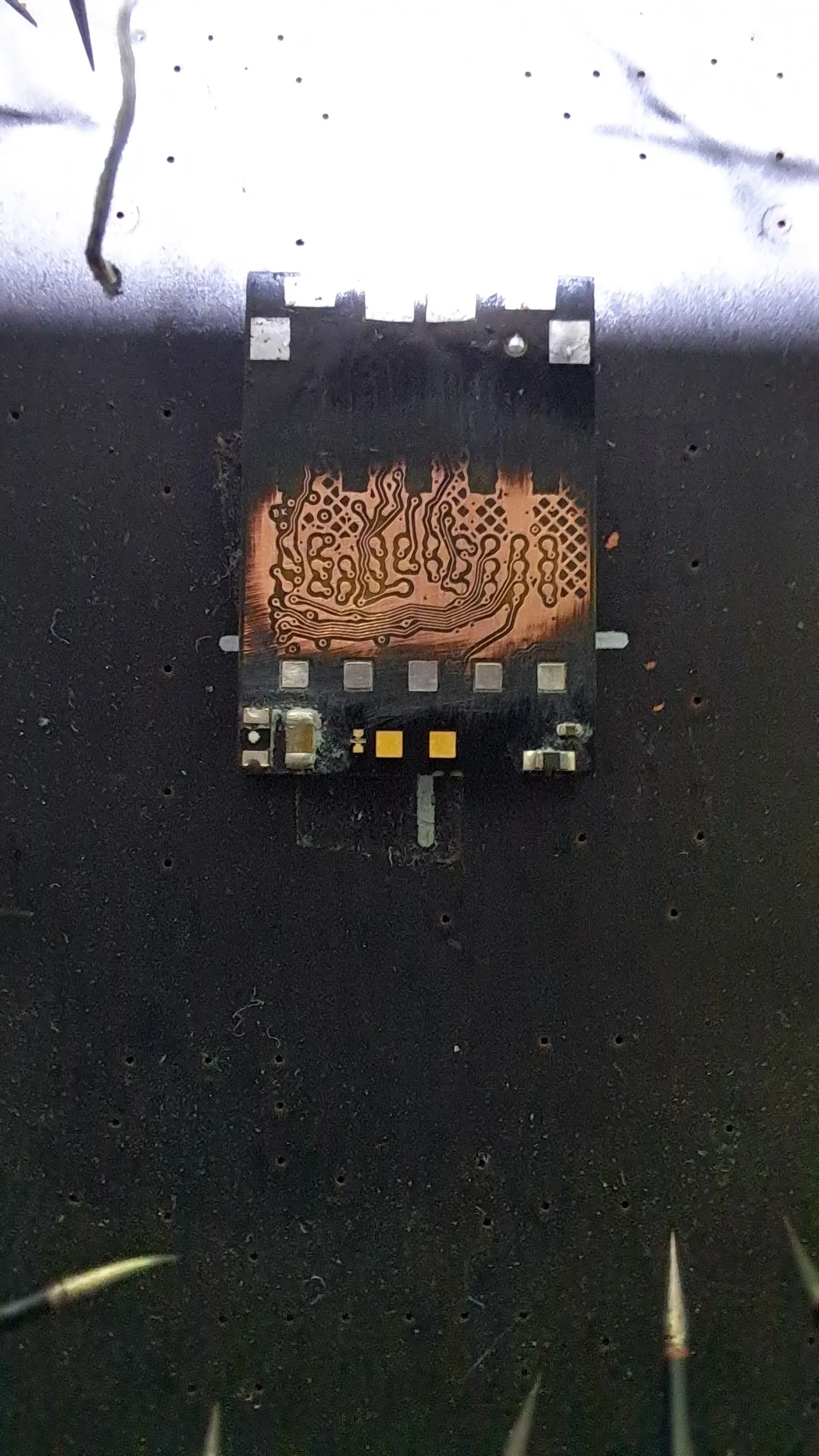 이미지 3