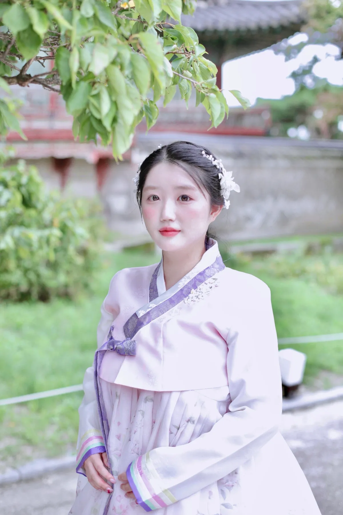 이미지 26