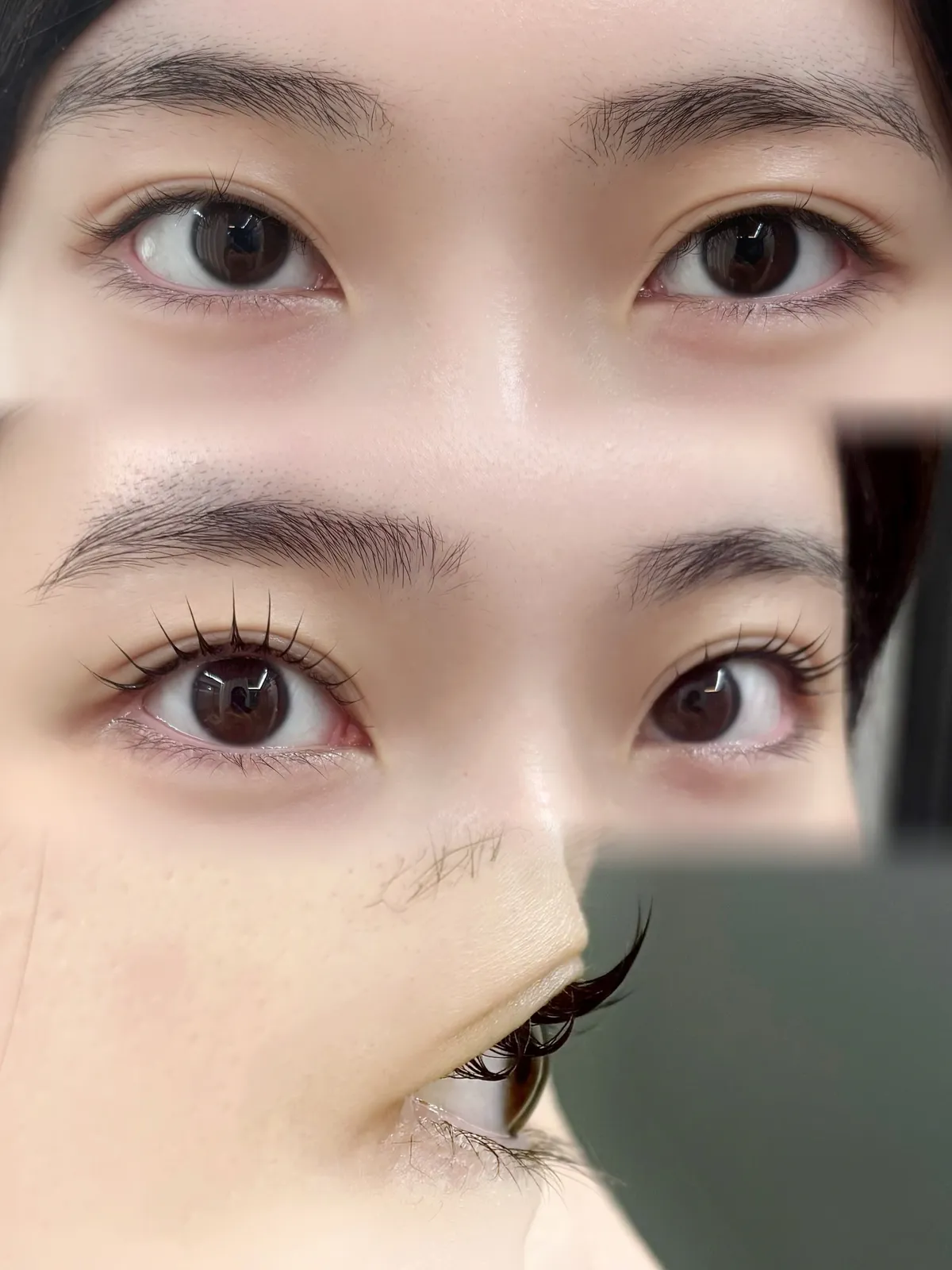 이미지 3