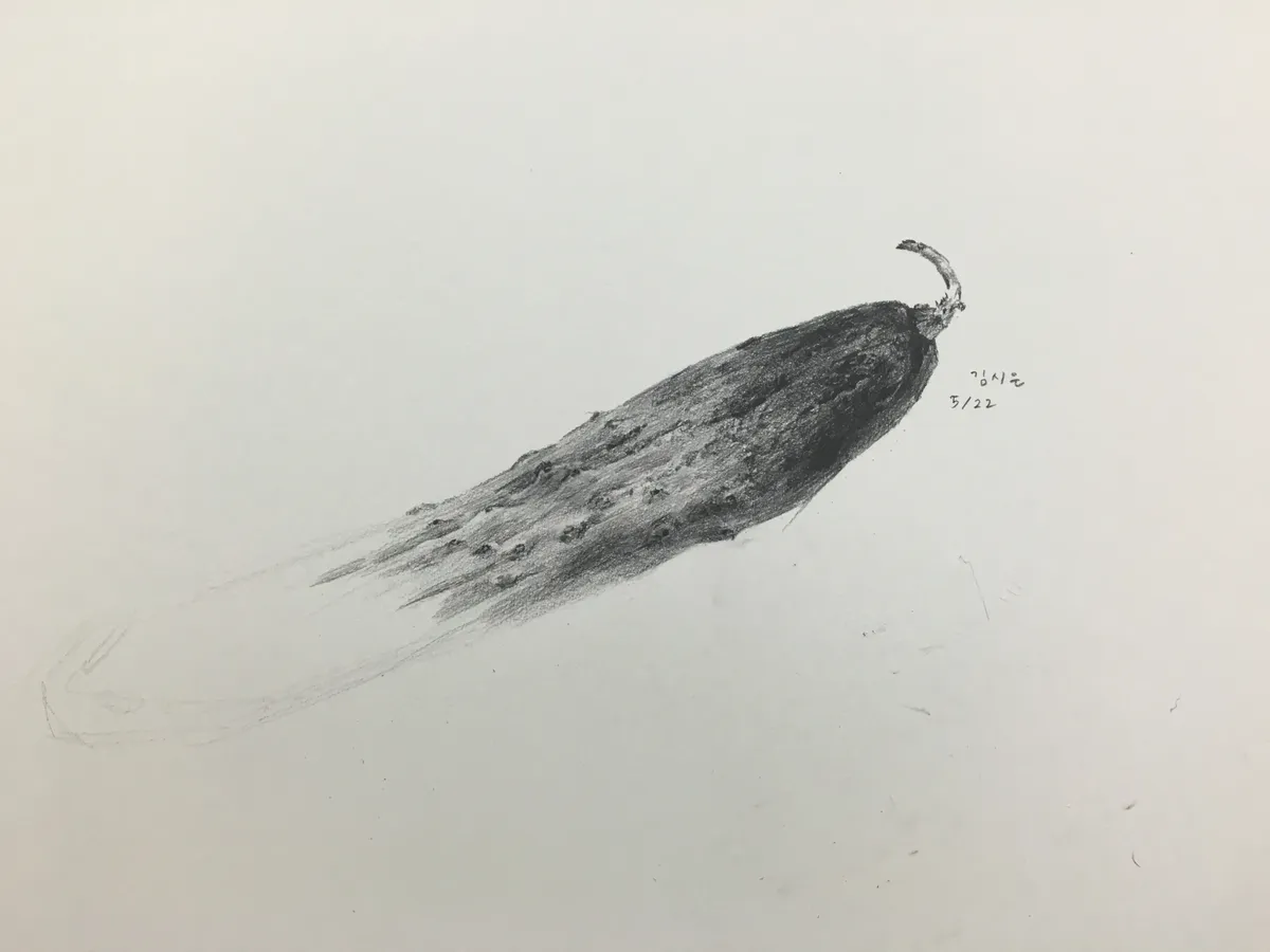 이미지 4