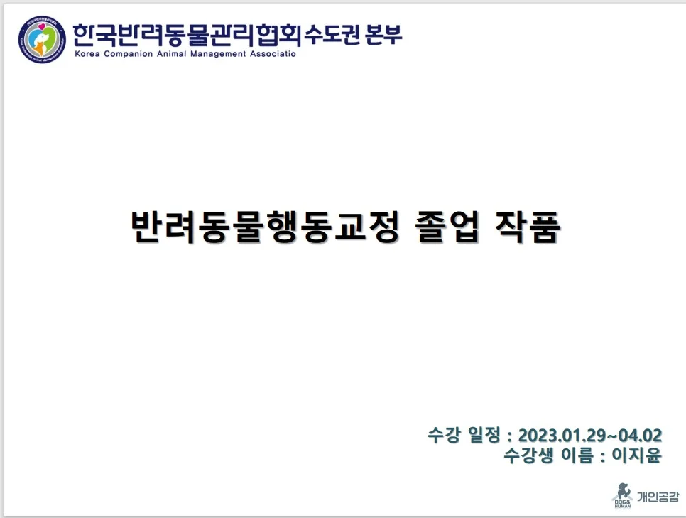 이미지 3