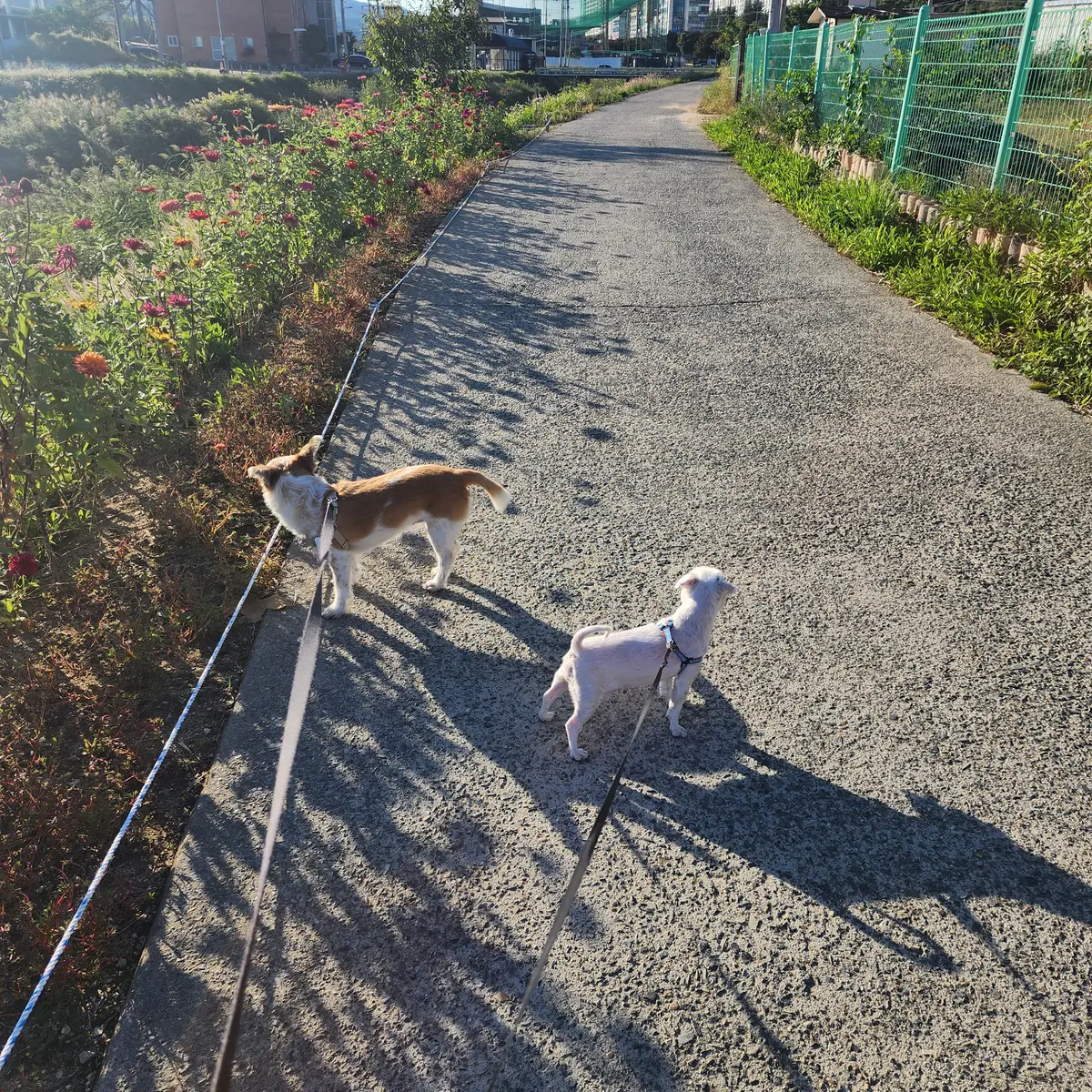 이미지 3