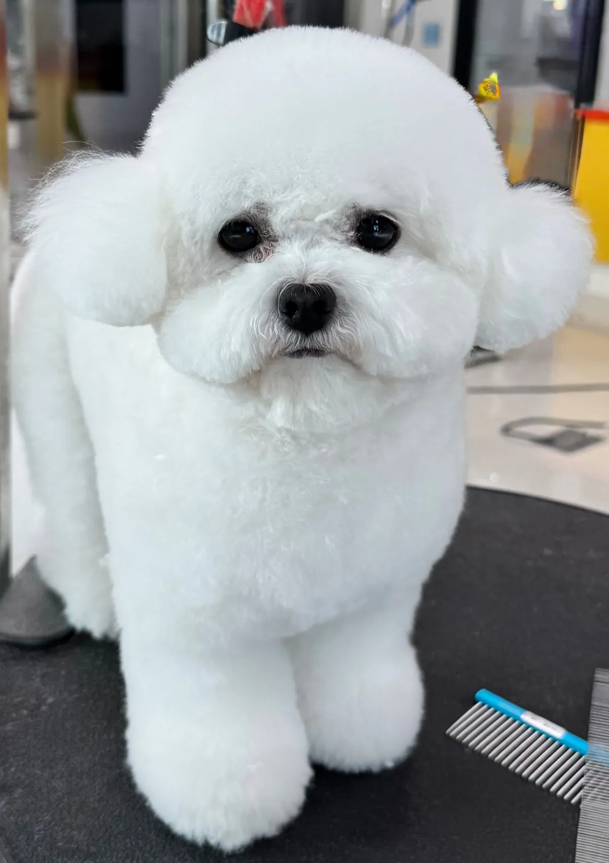 이미지 6