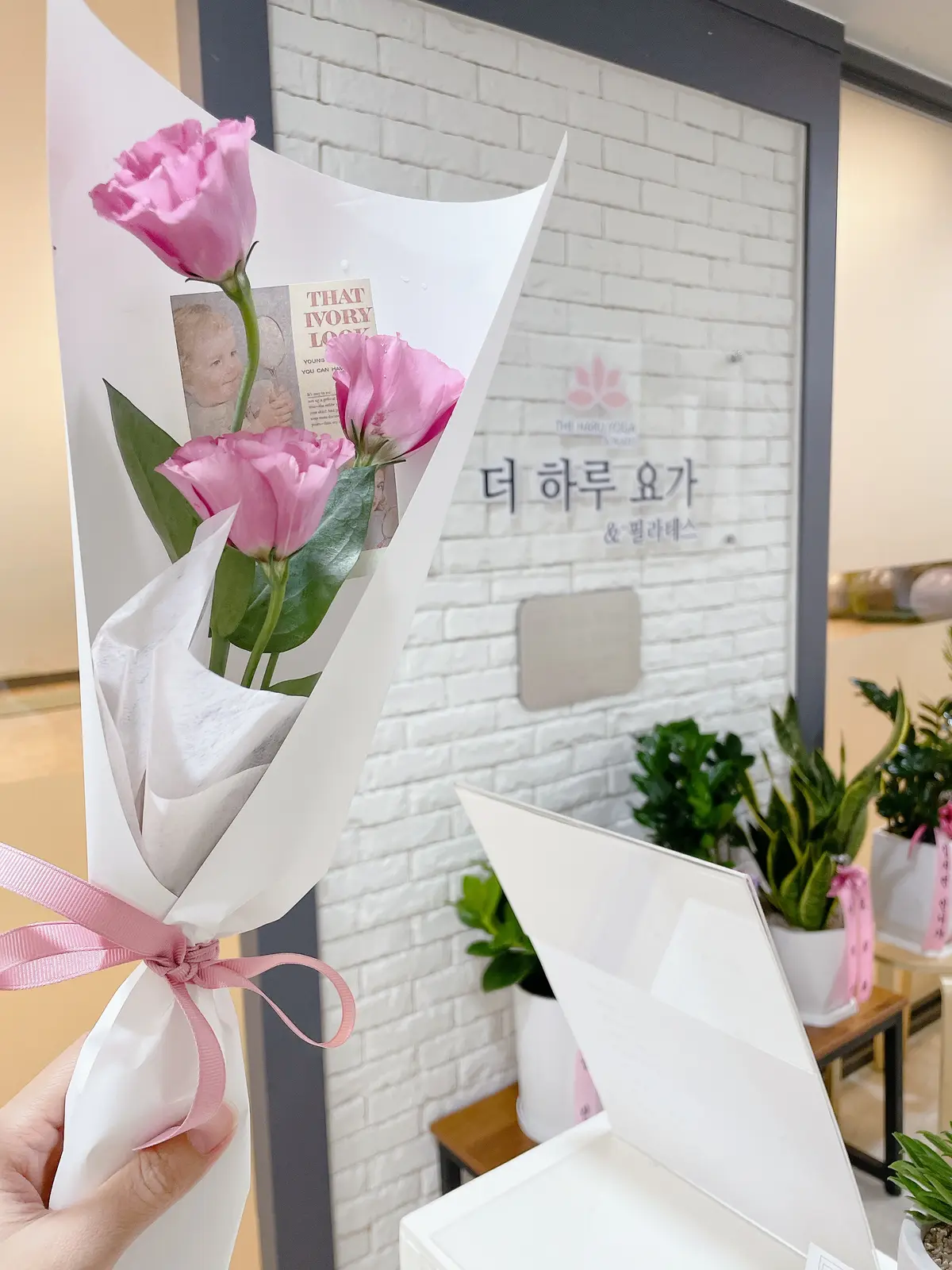 이미지 5