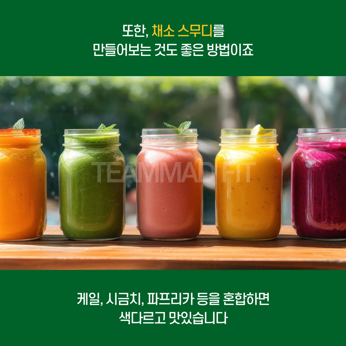 이미지 5