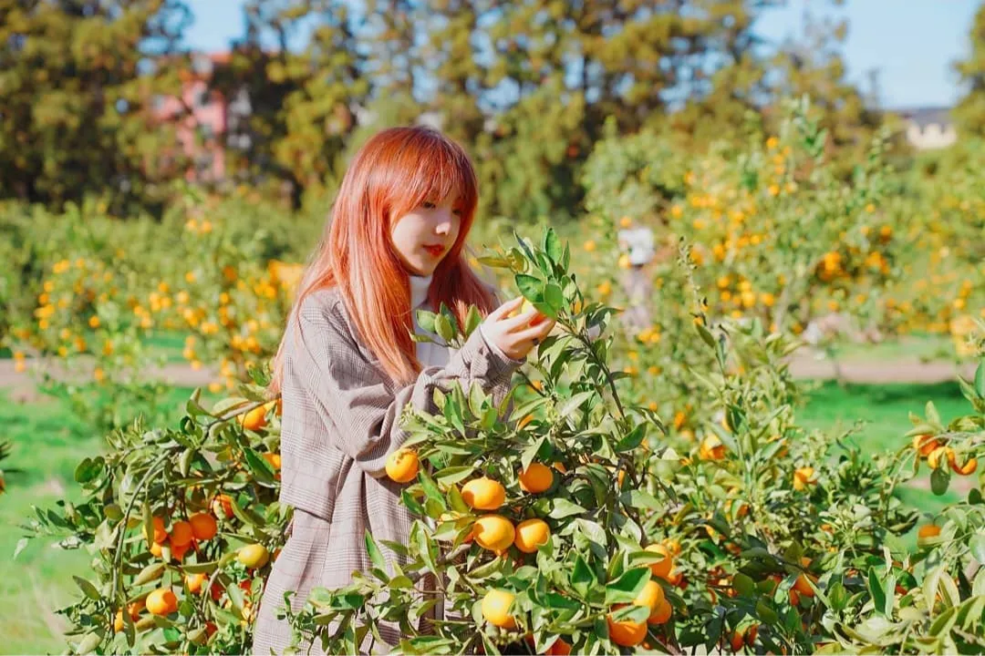 이미지 9