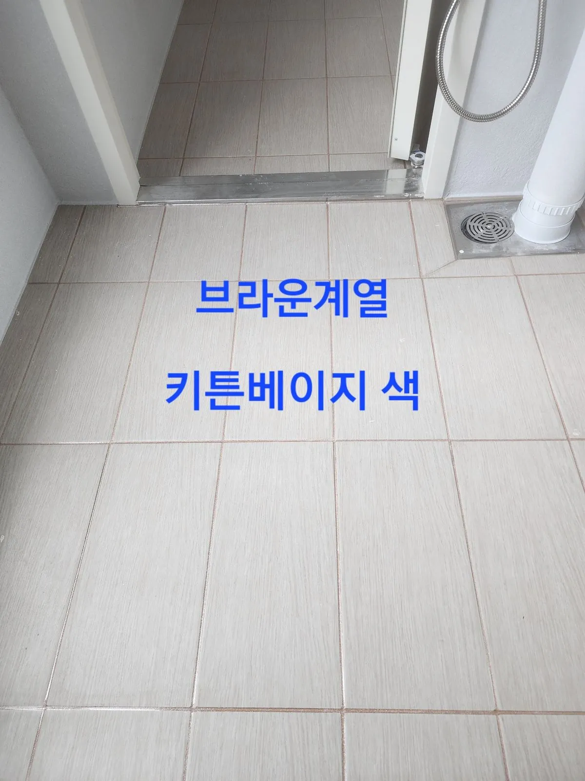 이미지 11