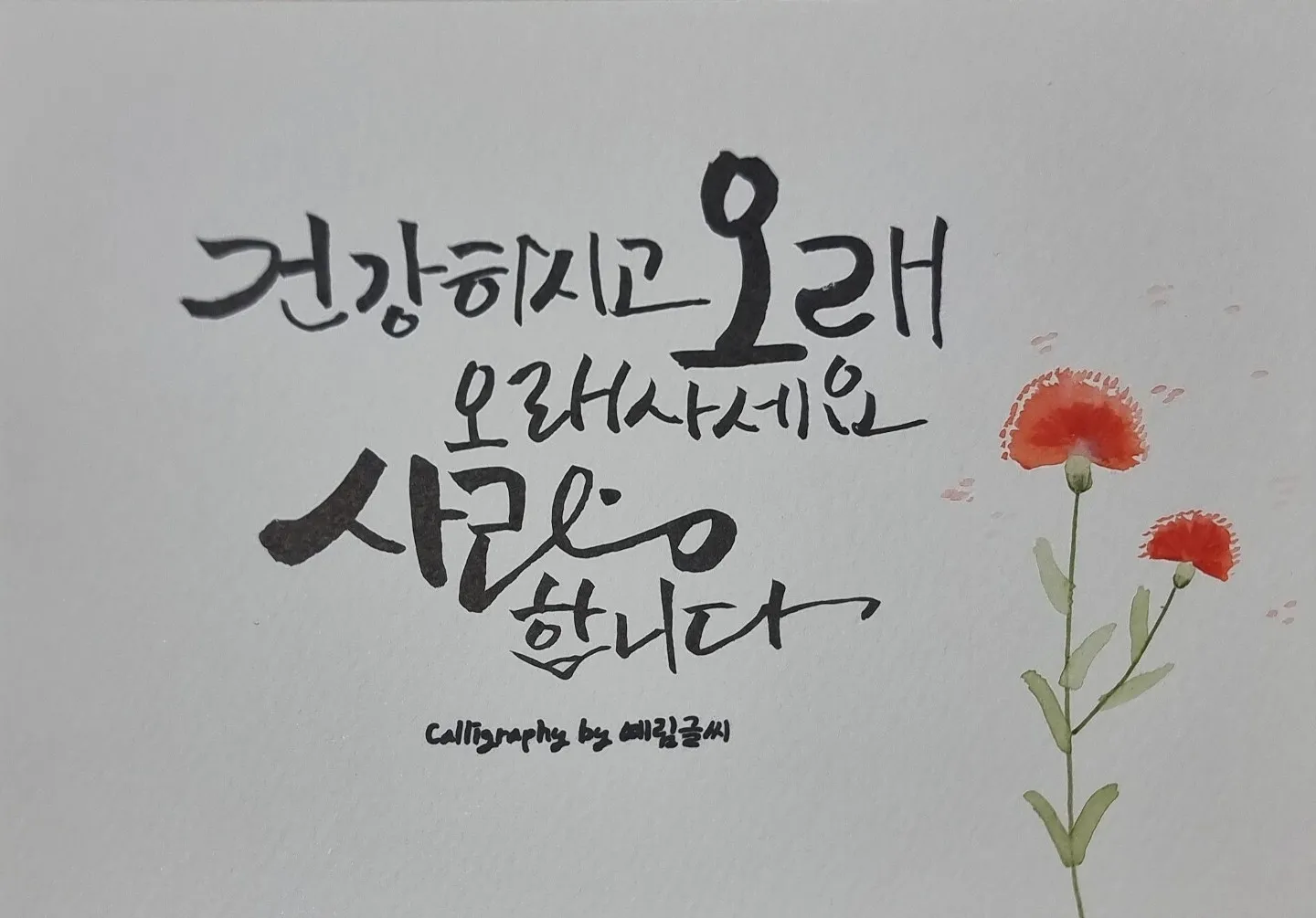 이미지 7