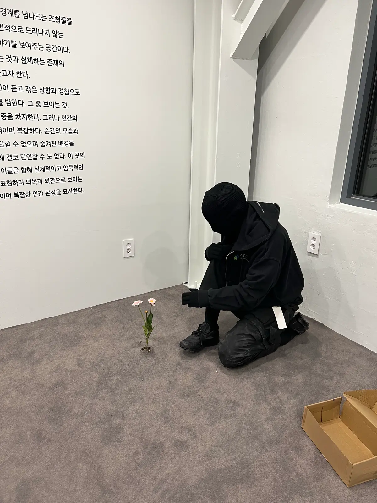 이미지 10