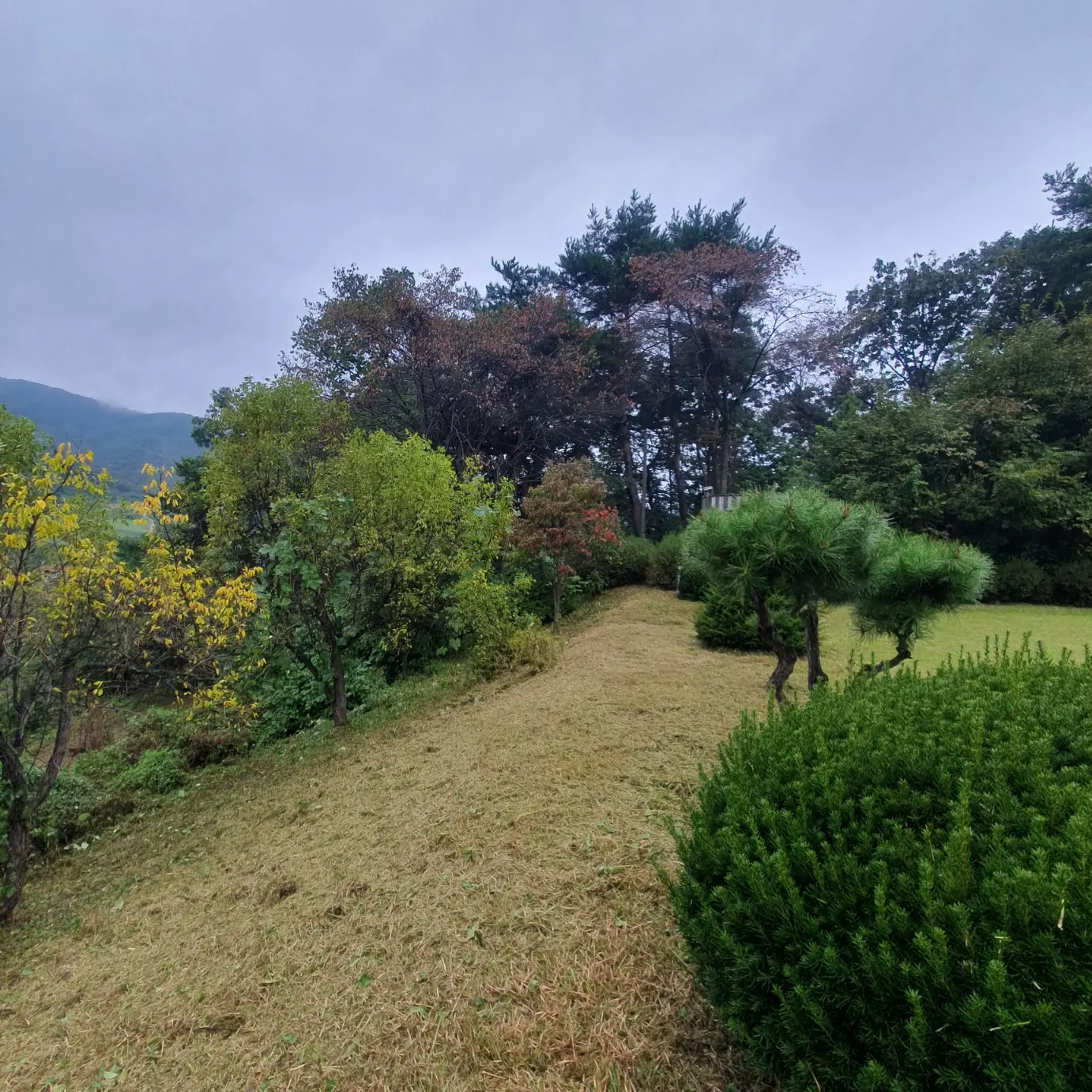 이미지 6