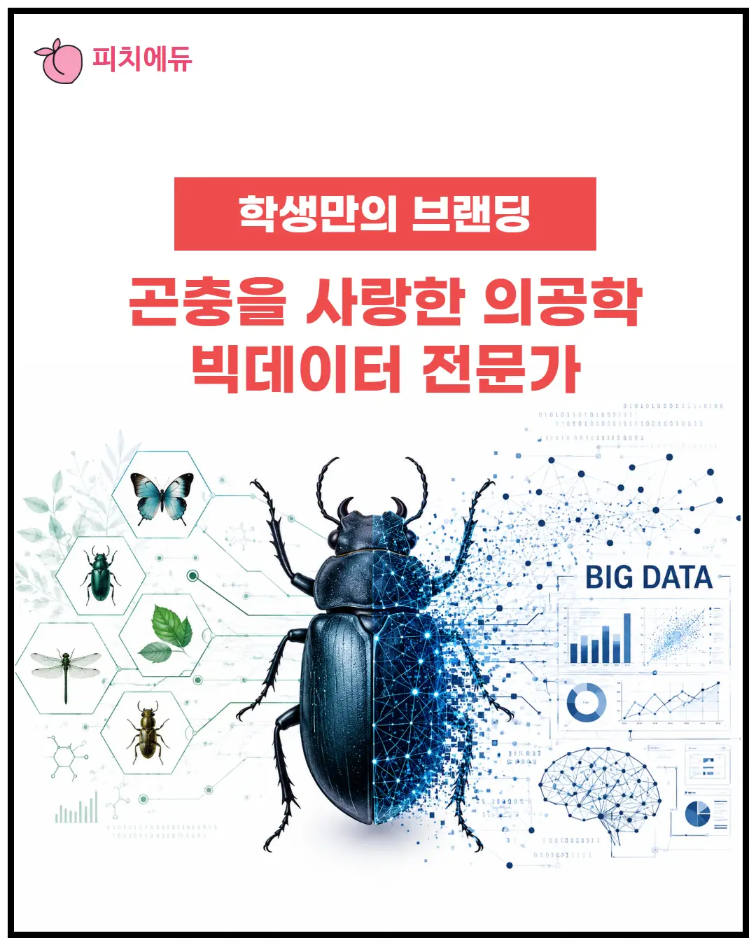 이미지 10