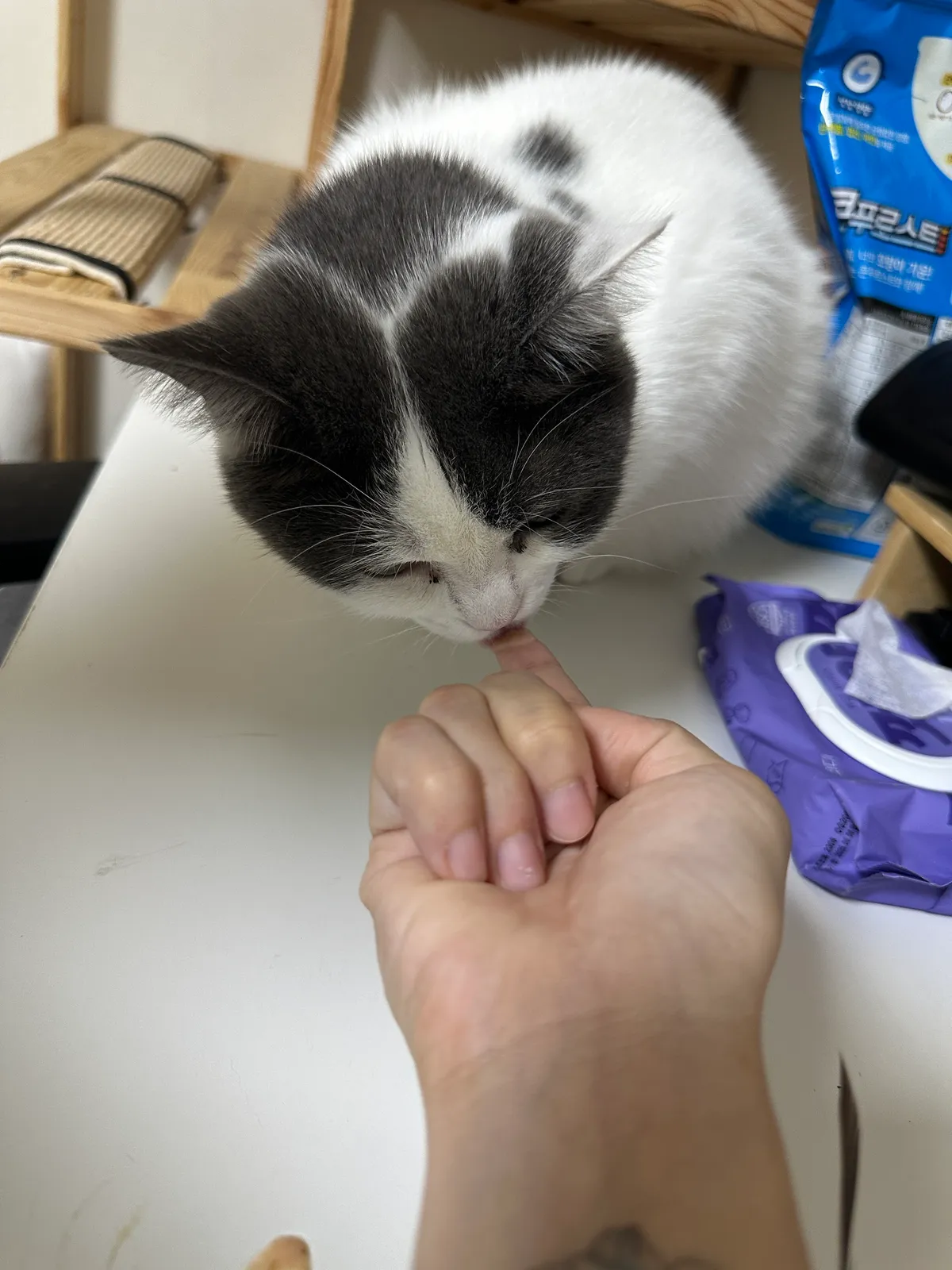 이미지 12