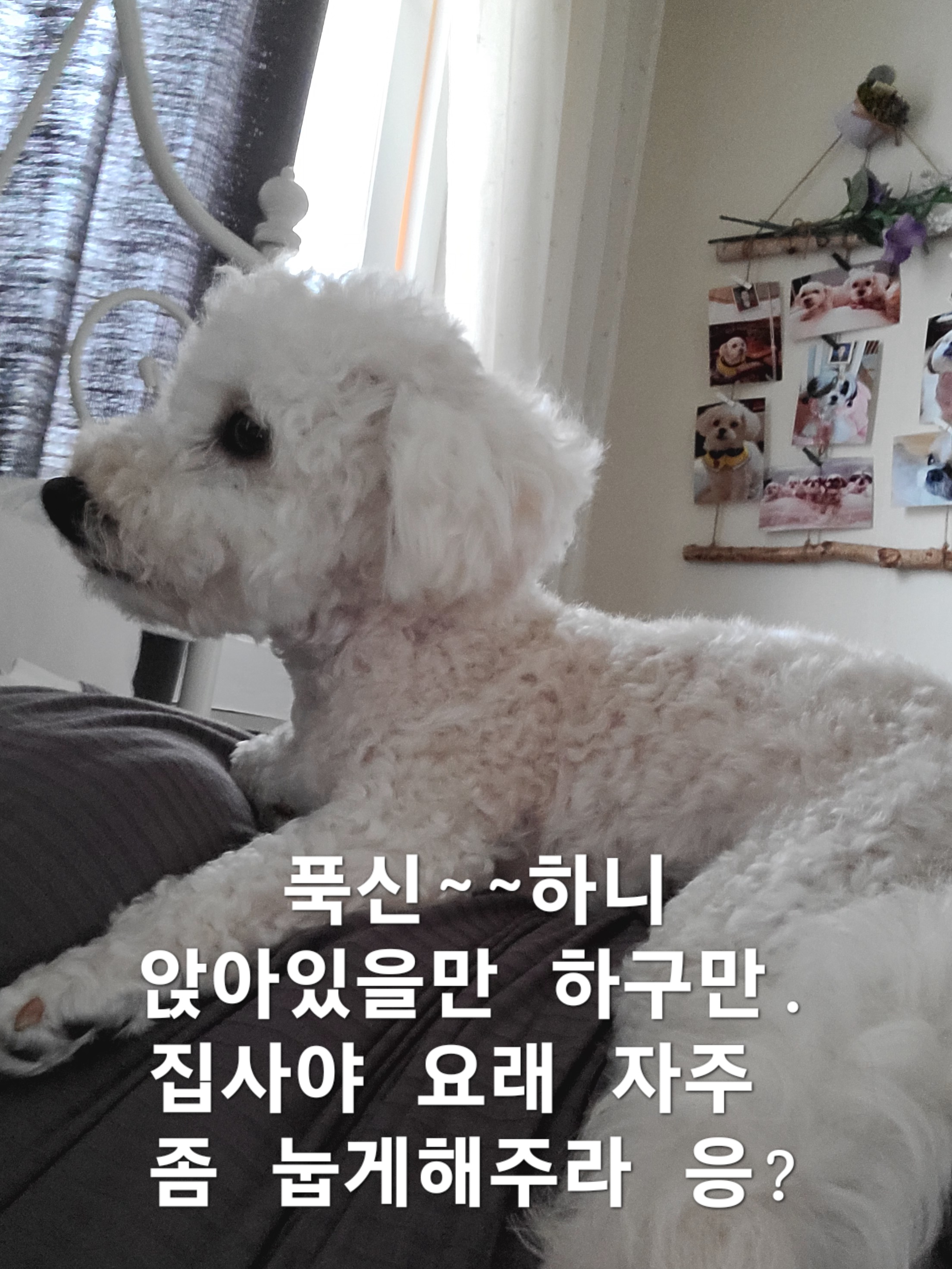 이미지 6