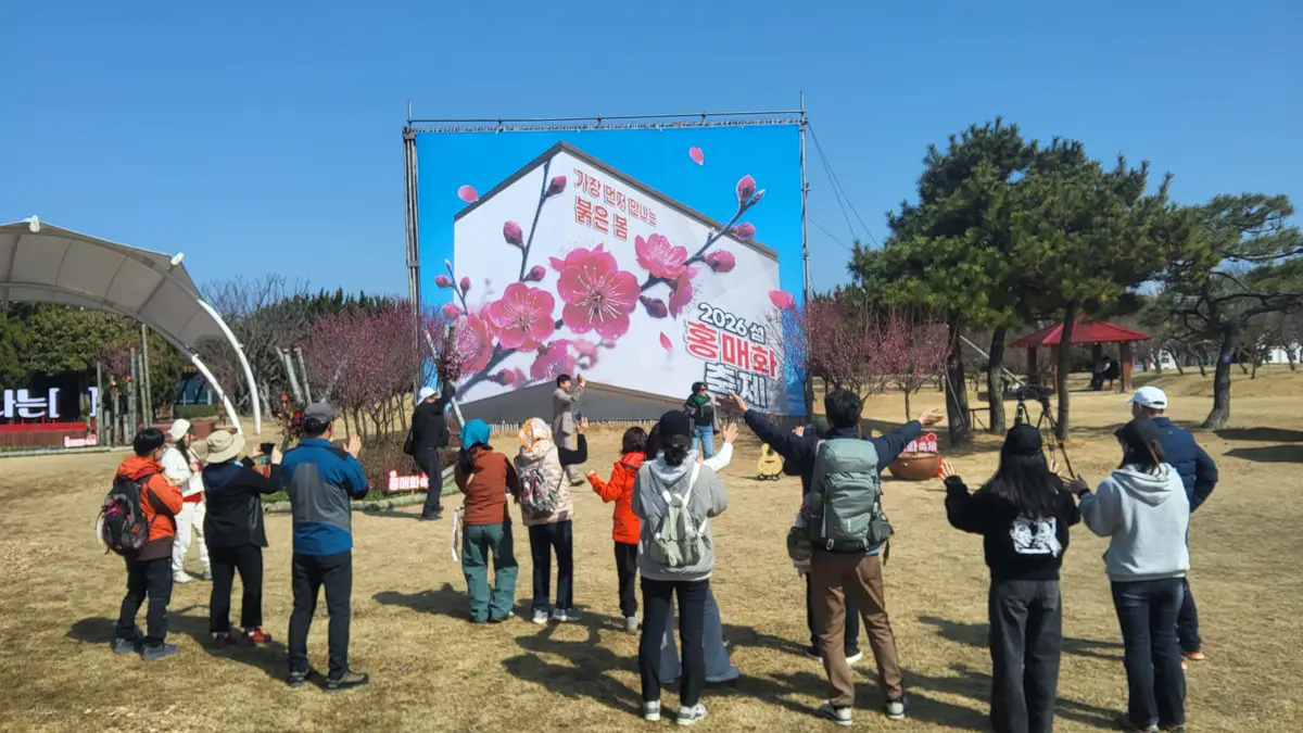 이미지 5