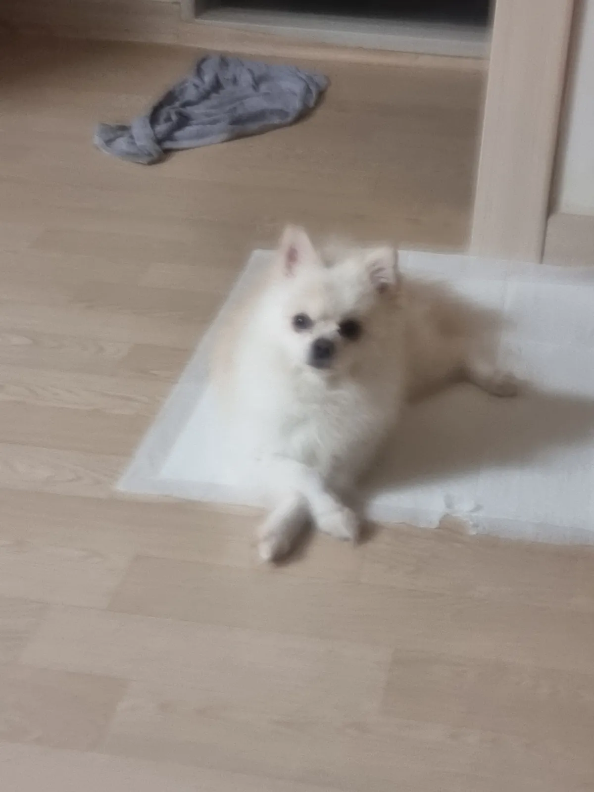 이미지 4