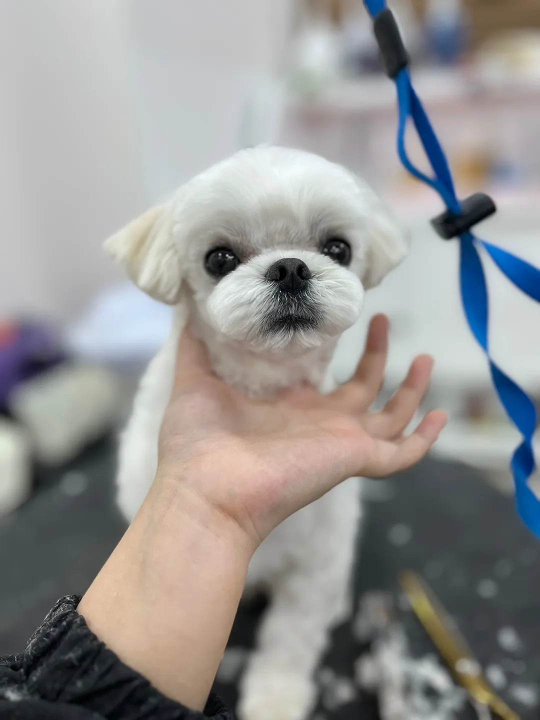 이미지 7