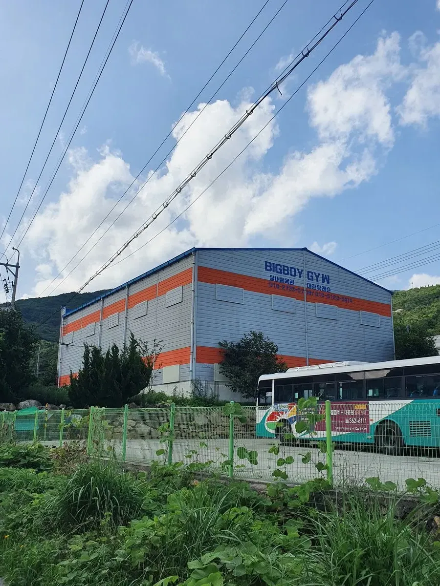 부산 경남 농구 및 배구 레슨 및 체육관 대관 / 백상락 - 숨고, 숨은고수 부산 경남 농구 및 배구 레슨 및 체육관 대관