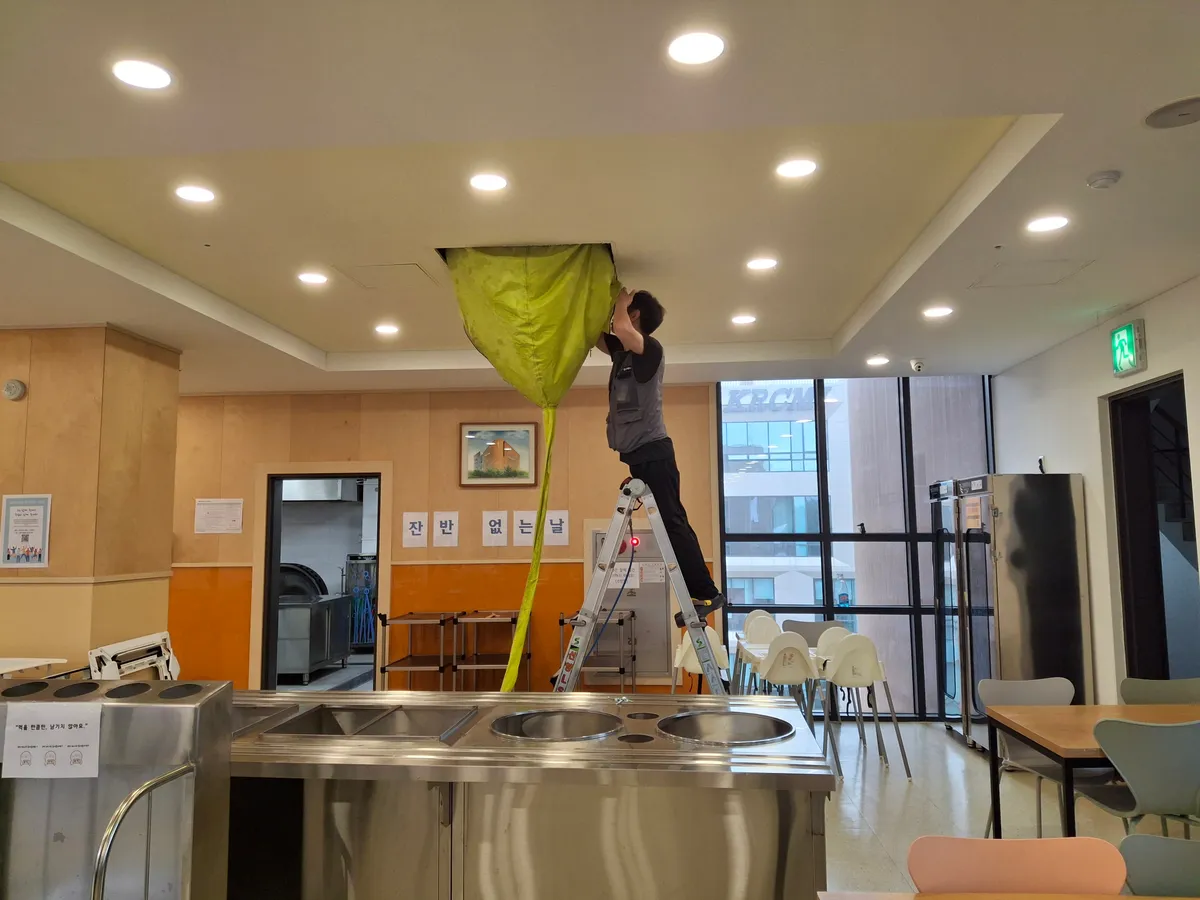이미지 10