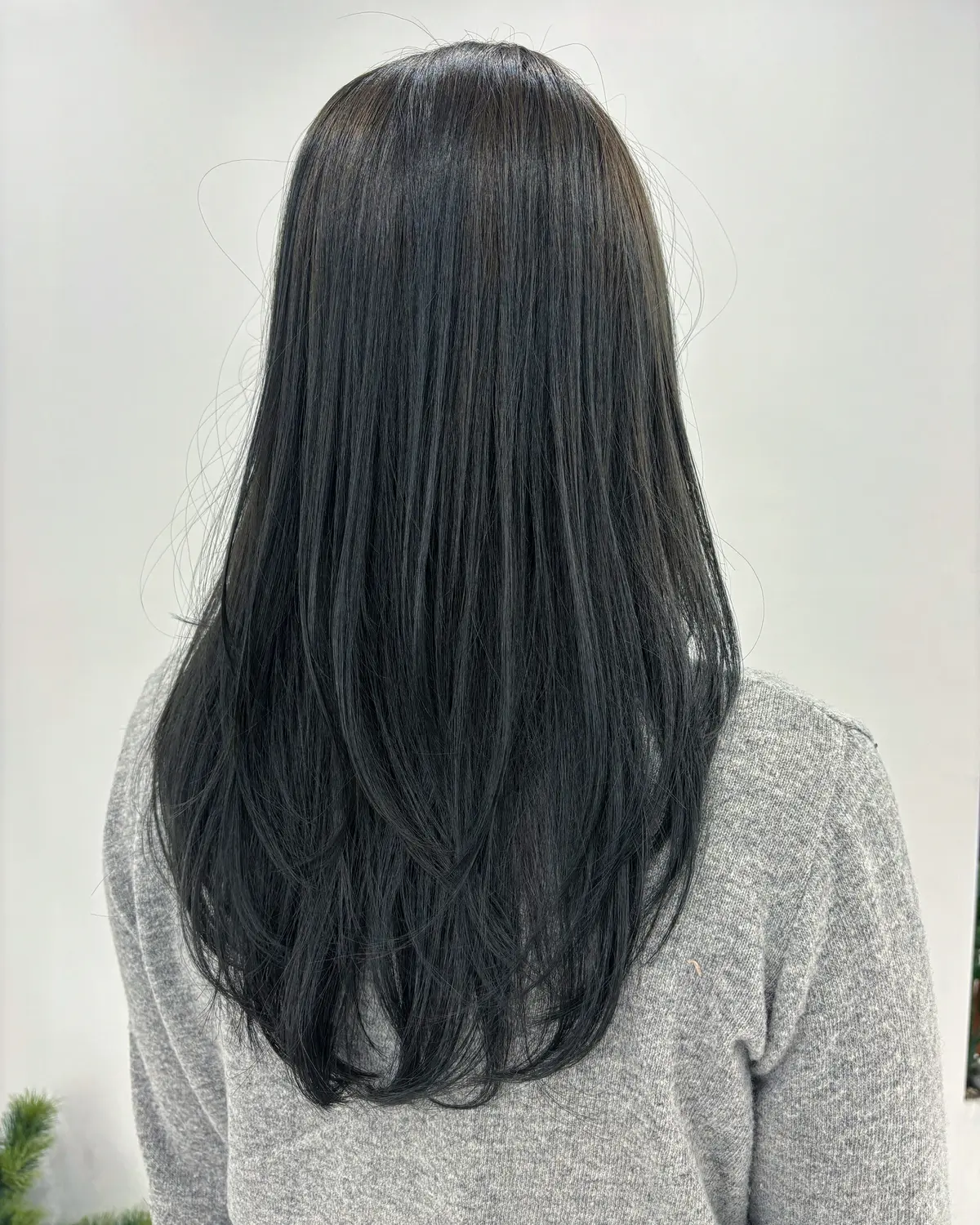 이미지 2