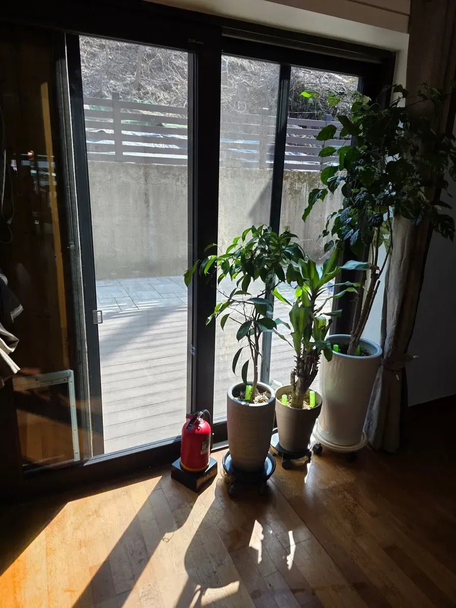 이미지 24