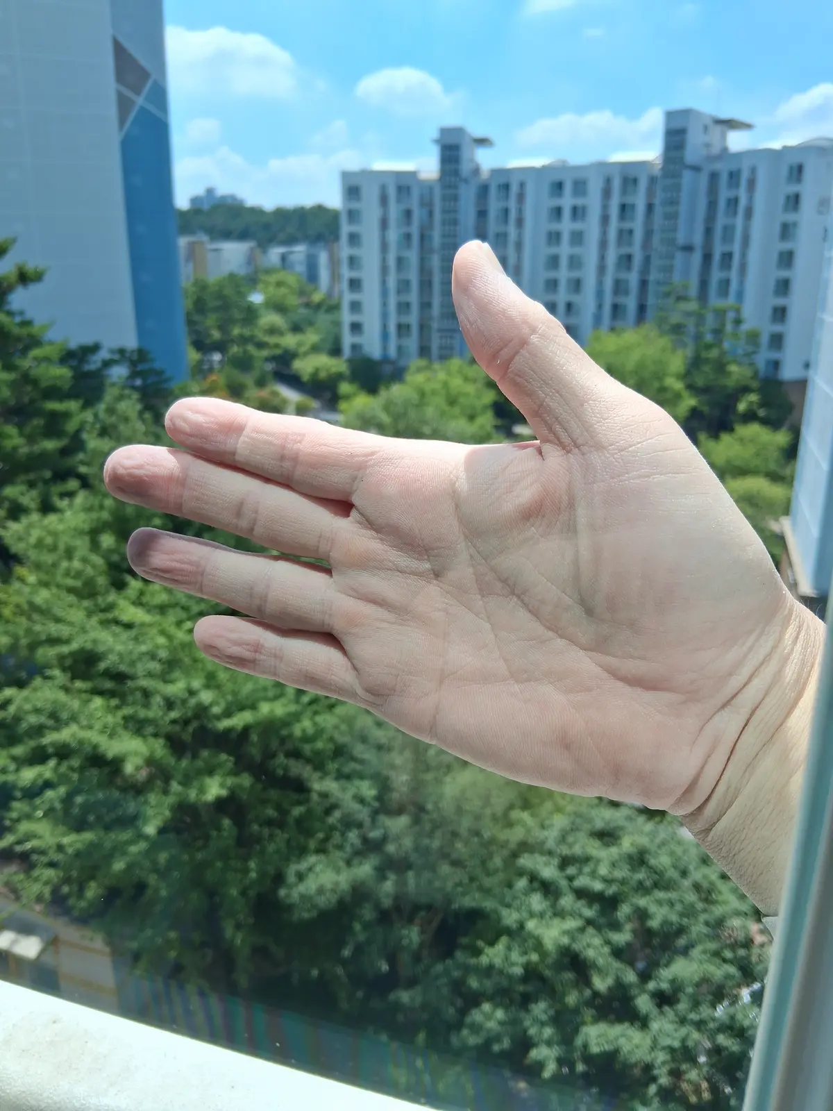 이미지 20