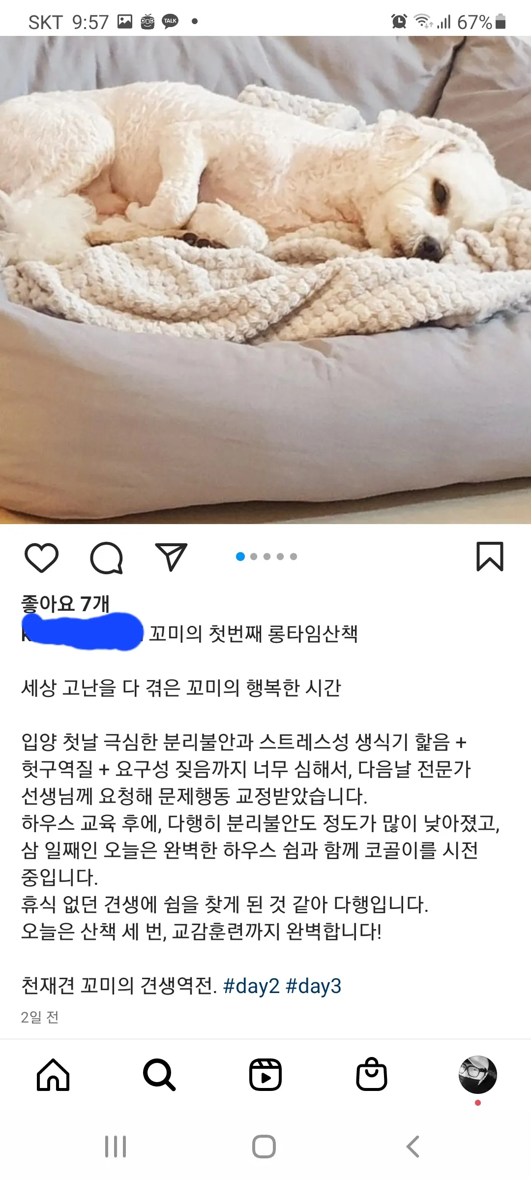 이미지 7