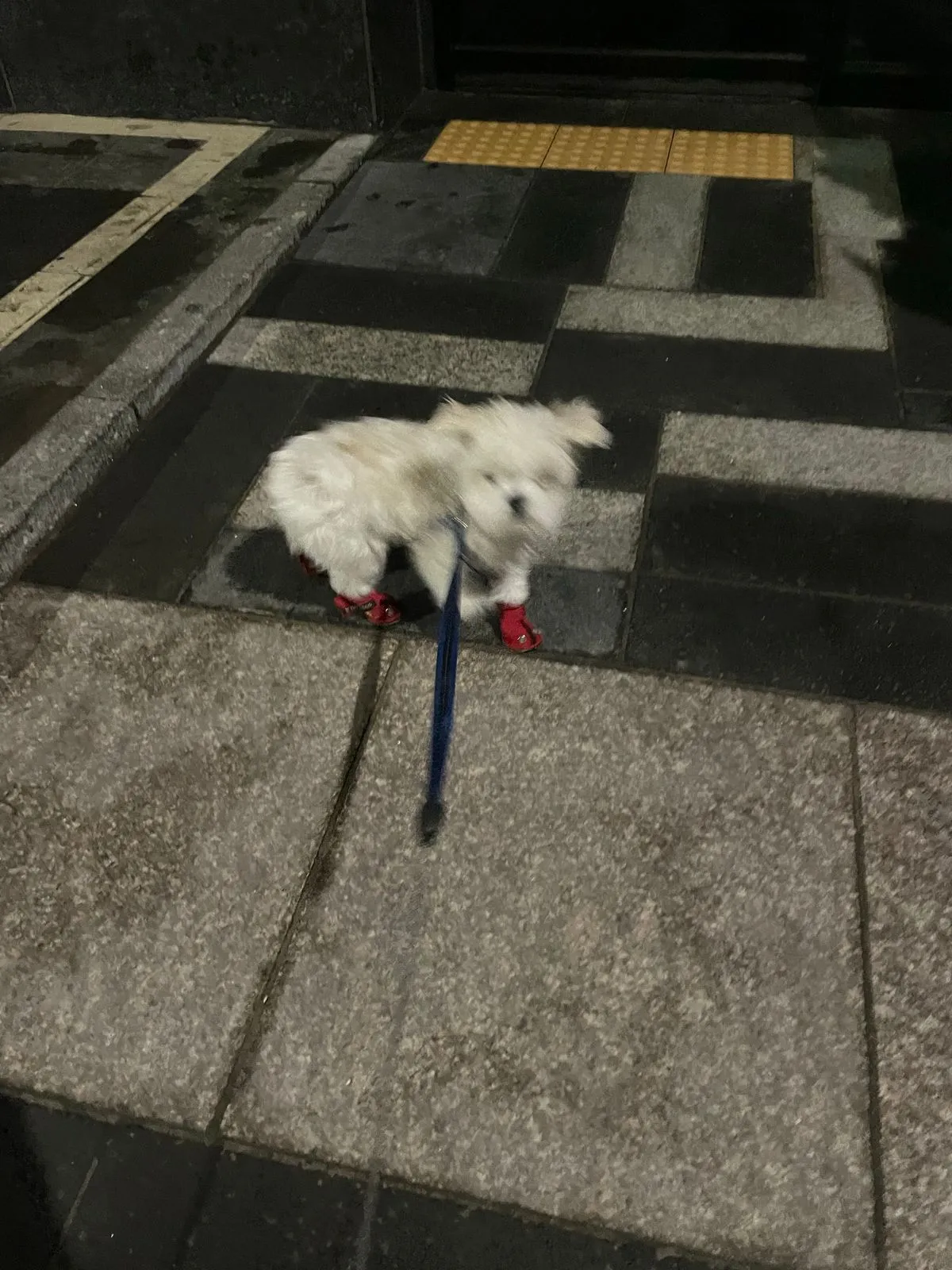 이미지 8