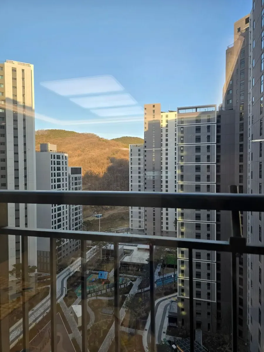이미지 12