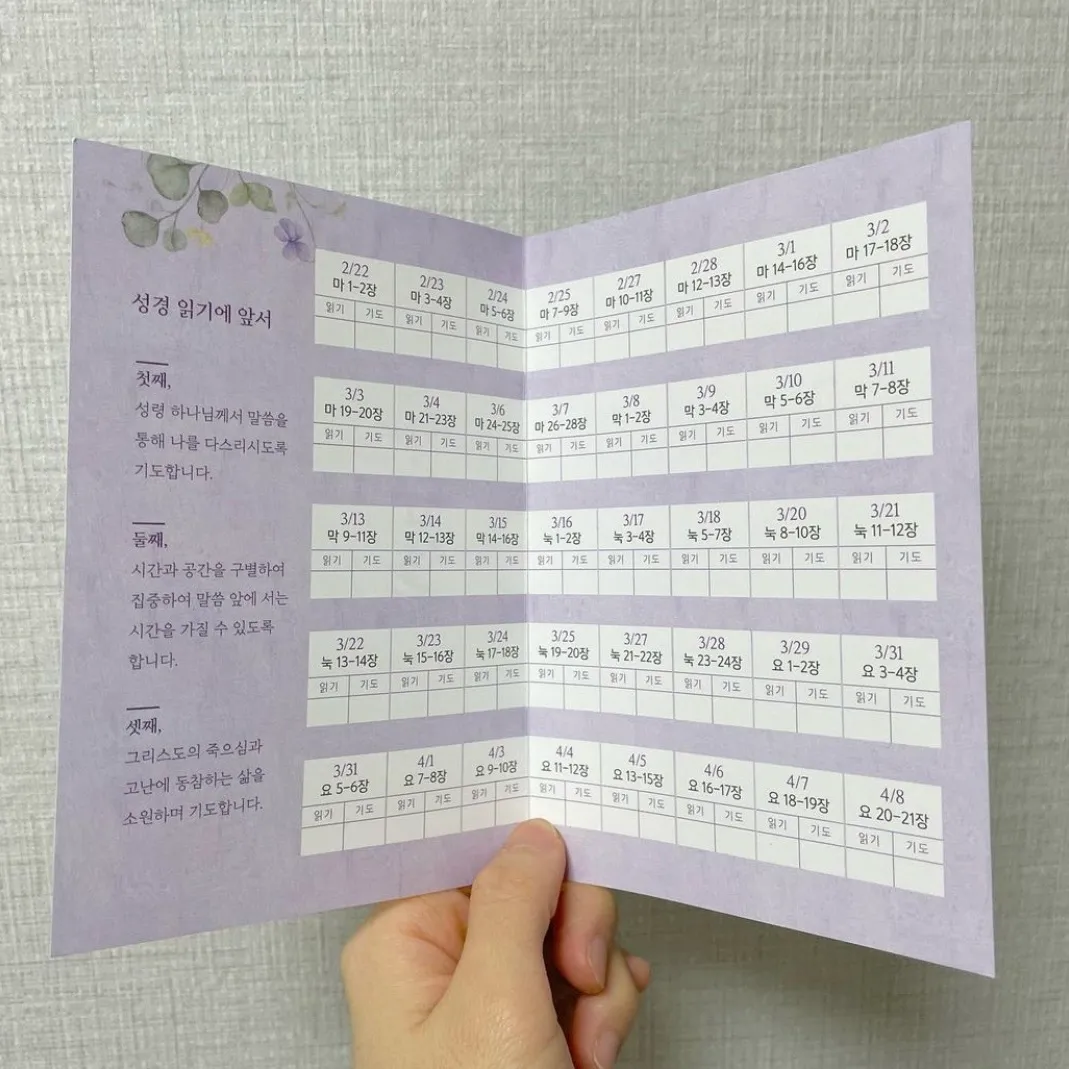 이미지 5